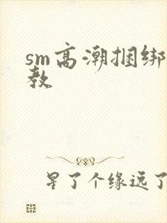 sm高潮捆绑调教封面