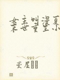 女主叫漫夏末的末世重生小说名字