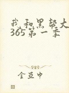 我和黑帮大佬的365第一季