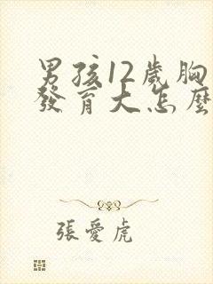 男孩12岁胸部发育大怎么回事