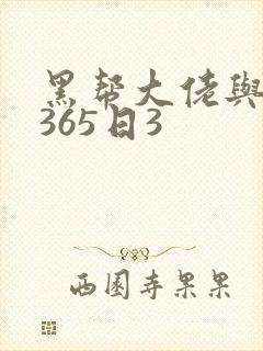 黑帮大佬与我的365日3