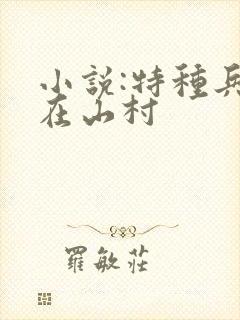 小说:特种兵王在山村封面