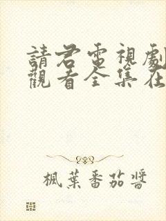 请君电视剧免费观看全集在线播放
