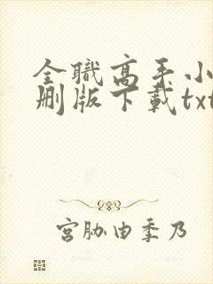 全职高手小说未删版下载txt