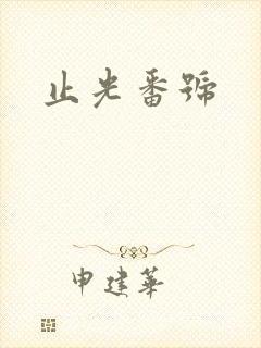 止光番号