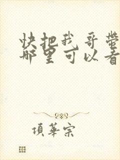 快把我哥带走在哪里可以看
