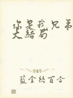 你是我兄弟结局大结局封面