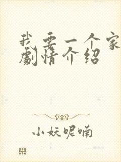 我要一个家分集剧情介绍封面