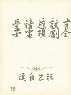 爱情应该有的样子电视剧全集免费