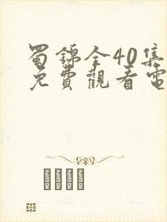 蜀锦全40集全免费观看电视剧大全封面