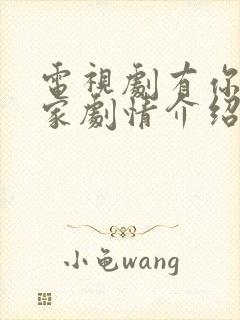 电视剧有你才有家剧情介绍