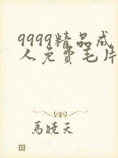 9999精品成人免费毛片在线看
