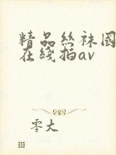 精品丝袜国产自在线拍av