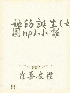 她的诞生(娱乐圈np)小说