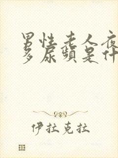 男性老人夜间尿多尿频是什么原因引起的