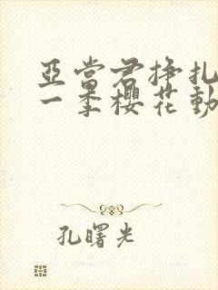 亚当君挣扎吧第一季樱花动漫