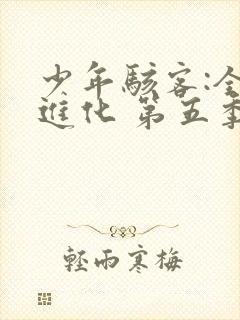 少年骇客:全面进化 第五季