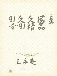 91久久国产综合91精品