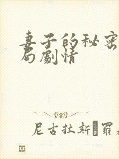 妻子的秘密大结局剧情封面