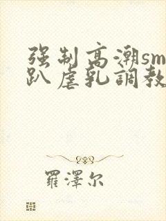 强制高潮sm跪趴虐乳调教