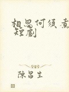 相思何须煮余年 短剧