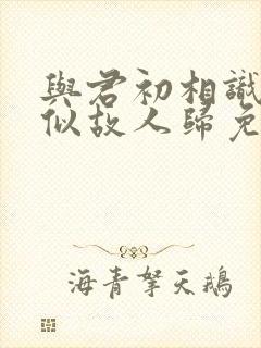 与君初相识,恰似故人归免费观看