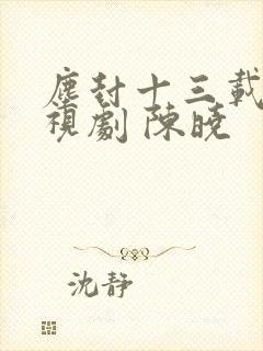 尘封十三载 电视剧 陈晓封面