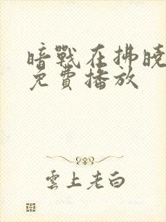 暗战在拂晓之前免费播放