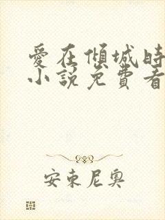 爱在倾城时光里小说免费看