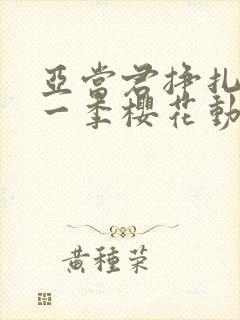 亚当君挣扎吧第一季樱花动漫
