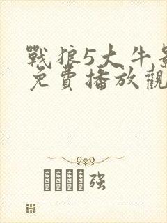 战狼5大牛影视免费播放观看