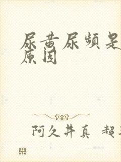 尿黄尿频是什么原因封面