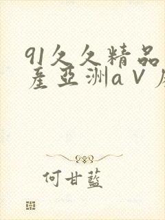 91久久精品国产亚洲a∨麻豆
