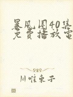 暴风圈40集全免费播放电视剧封面