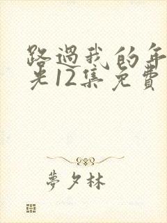 路过我的年少时光12集免费观看