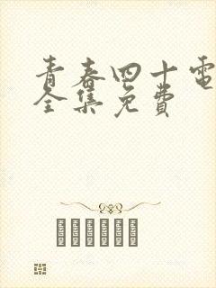 青春四十电视剧全集免费