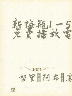 新梅瓶1一5集免费播放电视剧下载