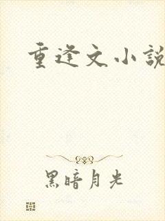 重逢文小说