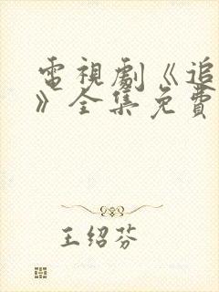 电视剧《追击者》全集免费播放