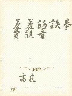 羞羞的铁拳,免费观看封面
