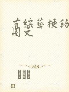 有综艺梗的娱乐圈文