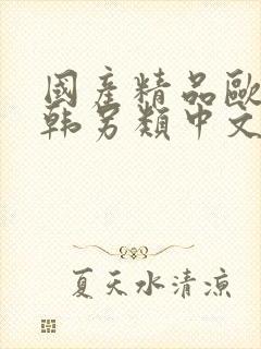 国产精品欧美日韩另类中文版