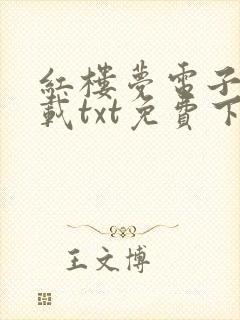 红楼梦电子书下载txt免费下载