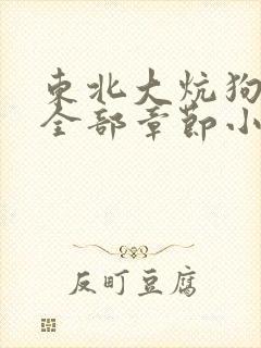 东北大炕狗儿娘全部章节小说