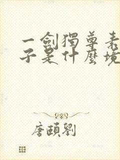 一剑独尊素裙女子是什么境界封面