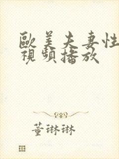 欧美夫妻性生活视频播放