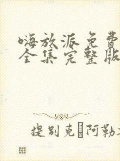嗨放派免费观看全集完整版封面