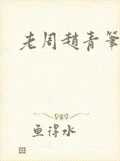 老周赵青笔趣阁封面