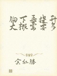 胸下垂提升手术大概需要多少钱封面