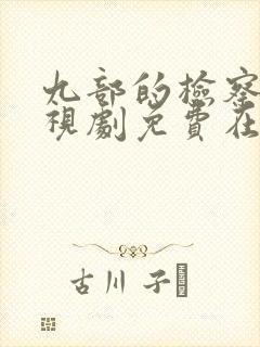 九部的检察官电视剧免费在线观看封面